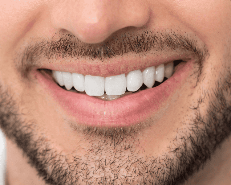 Untitled (750 x 600 px) (1)